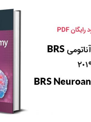 دانلود PDF کتاب نوروآناتومی BRS ویرایش ۶