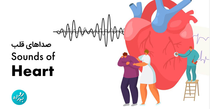 دانلود مجموعه کامل صداهای قلب Heart sounds