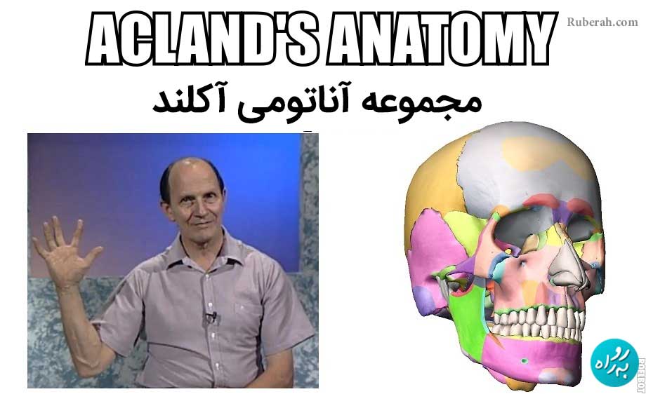 دانلود ویدئوهای آناتومی آکلند [5 DVD کامل]