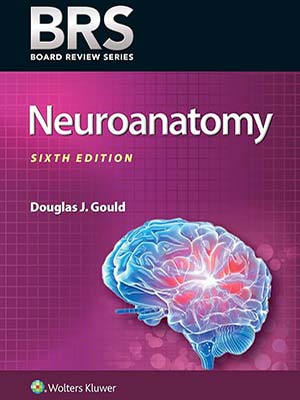 دانلود کتاب نوروآناتومی 2019 BRS Neuroanatomy