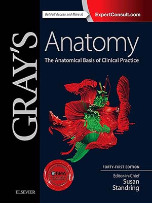 دانلود کتاب آناتومی گری 2015 Gray’s Anatomy: The Anatomical Basis of Clinical Practice