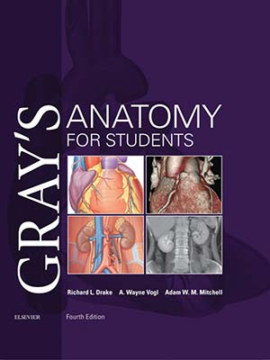دانلود کتاب آناتومی گری برای دانش آموزان 2019 Gray’s Anatomy for Students