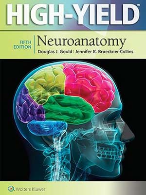 دانلود کتاب نکات برتر نوروآناتومی 2015 High-Yield Neuroanatomy