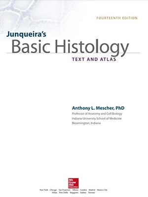 دانلود کتاب بافت شناسی پایه جان کوئیرا 2015 Junqueira’s Basic Histology: Text and Atlas