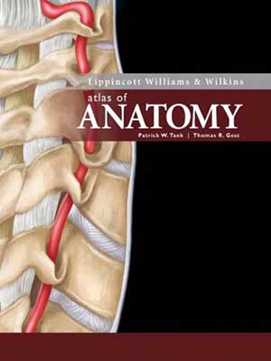 دانلود کتاب اطلس آناتومی لیپینکات ویلیامز و ویلکینز 2008 Lippincott Williams and Wilkins Atlas of Anatomy