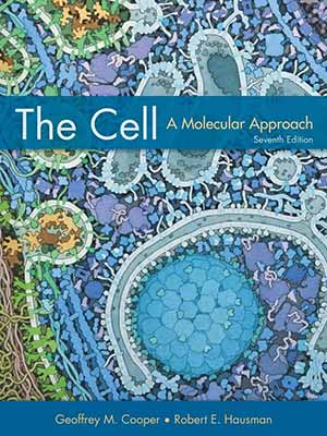 دانلود کتاب سلول: یک رویکرد مولکولی 2015 The Cell: A Molecular Approach