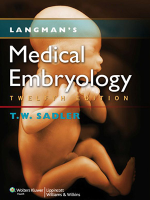 دانلود کتاب جنین شناسی پزشکی لانگمن 2012 Langman's Medical Embryology