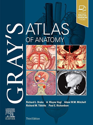 دانلود کتاب اطلس آناتومی گری Gray's Atlas of Anatomy