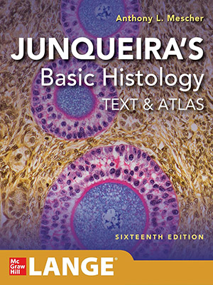دانلود کتاب بافت شناسی پایه جان کوئیرا 2021 Junqueira’s Basic Histology: Text and Atlas