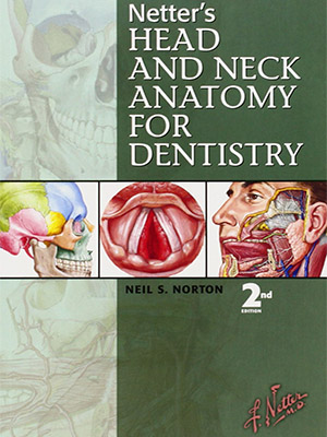 دانلود کتاب آناتومی سر و گردن نتر برای دندانپزشکان Netter's Head and Neck Anatomy for Dentistry