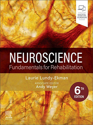 دانلود کتاب علوم اعصاب: مبانی توانبخشی Neuroscience: Fundamentals for Rehabilitation
