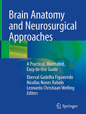 دانلود کتاب آناتومی مغز و رویکردهای جراحی مغز و اعصاب Brain Anatomy and Neurosurgical Approaches