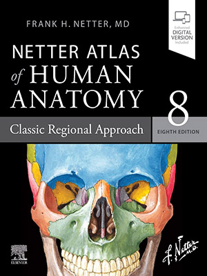 دانلود کتاب اطلس آناتومی انسان نتر Netter Atlas of Human Anatomy: Classic Regional Approach