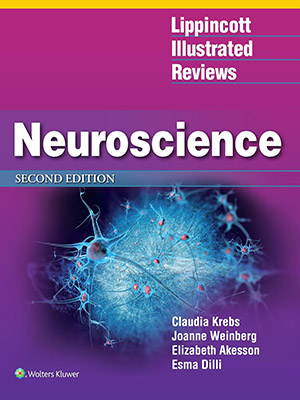 دانلود کتاب مرور مصور علوم اعصاب لیپینکات Lippincott Illustrated Reviews: Neuroscience