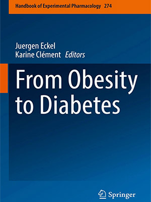 دانلود کتاب از چاقی تا دیابت 2022 From Obesity to Diabetes