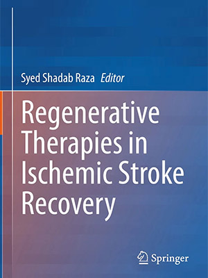 دانلود کتاب درمان های ترمیمی در بهبود سکته مغزی ایسکمیک Regenerative Therapies in Ischemic Stroke Recovery