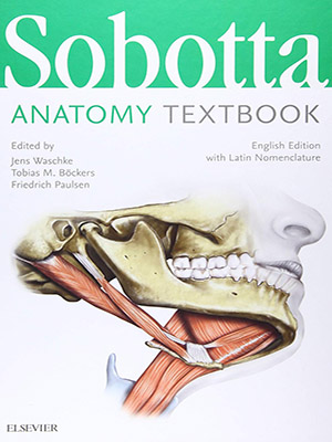 دانلود کتاب درسی آناتومی سوبوتا Sobotta Anatomy Textbook: English Edition with Latin Nomenclature