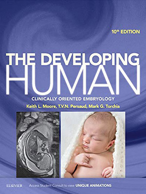 دانلود کتاب انسان در حال توسعه: جنین شناسی بالینی گرا The Developing Human: Clinically Oriented Embryology