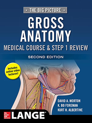 دانلود کتاب تصویر بزرگ: آناتومی کلی، دوره پزشکی و مرور مرحله اول The Big Picture: Gross Anatomy, Medical Course And Step 1 Review