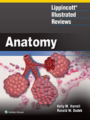 دانلود کتاب مرور مصور آناتومی لیپینکات Lippincott Illustrated Reviews: Anatomy