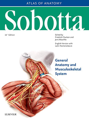 دانلود کتاب اطلس آناتومی سوبوتا جلد ۱: آناتومی عمومی و سیستم اسکلتی عضلانی Sobotta Atlas of Anatomy, Vol 1: General Anatomy and Musculoskeletal System