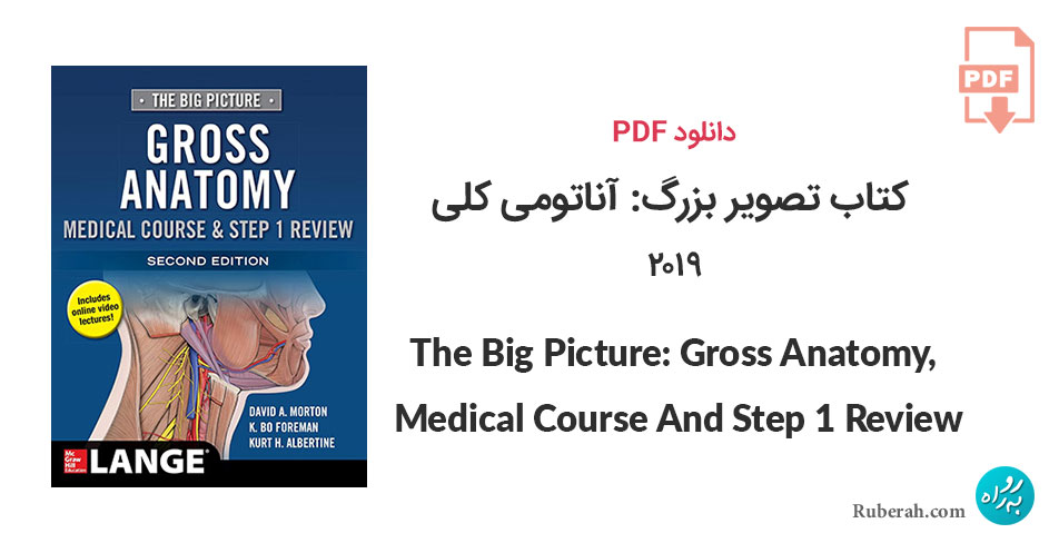 دانلود کتاب تصویر بزرگ: آناتومی کلی، دوره پزشکی و مرور مرحله اول The Big Picture: Gross Anatomy, Medical Course And Step 1 Review